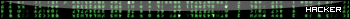 hacker.gif