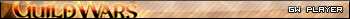 guils wars-player.jpg