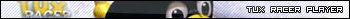 tux racer-player.png