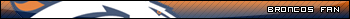 broncos-fan.jpg
