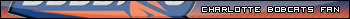 charlotte-bobcats-fan.jpg