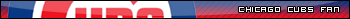 chicago cubs-fan.jpg