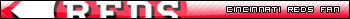 cincinnati reds-fan.jpg