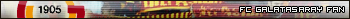 fc galatasaray-fan.png