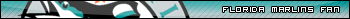 florida marlins-fan.jpg